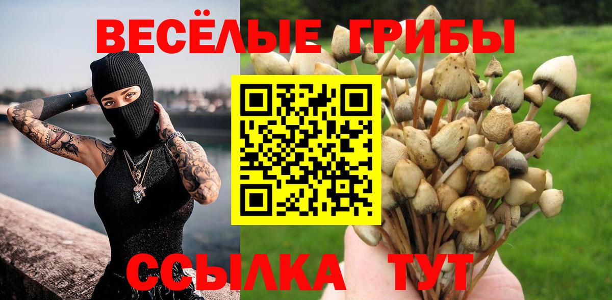 Псилоцибиновые грибы Psilocybe Бузулук