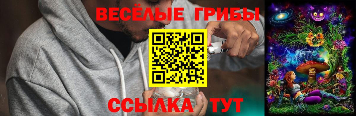 Псилоцибиновые грибы прущие грибы  Вход с VPN  Бузулук 